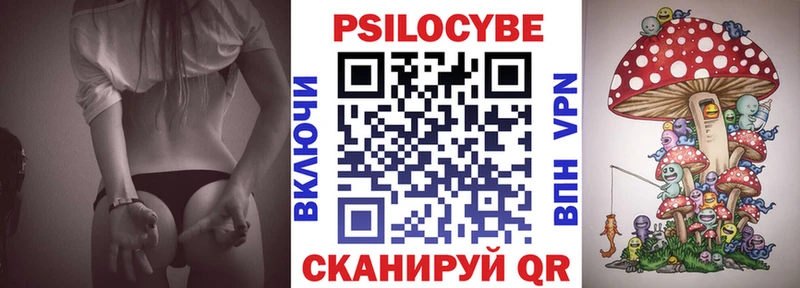 закладки  Бронницы  Галлюциногенные грибы Psilocybine cubensis 
